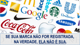 Direitos e obrigações relativos à marca e seu registro