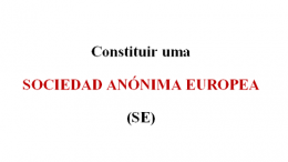 Constituir una Sociedad Anónima Europea (SE)