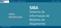 SIBA (SEF), Declaração de Entrada e Boletim de Alojamento em Portugal