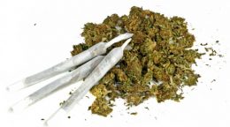 Maconha para uso próprio e tráfico de entorpecentes